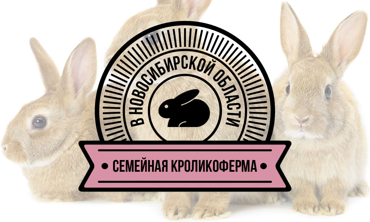 Семейная кроликоферма в Новосибирской области