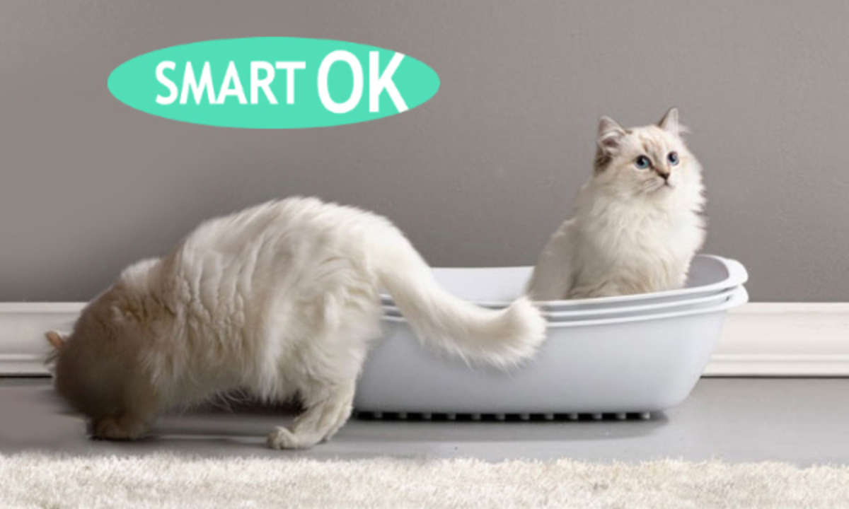SmartOK: по-настоящему умный лоток для кошек!