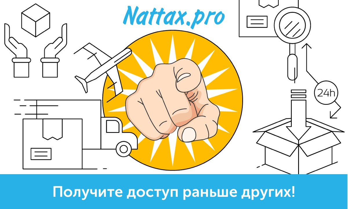 Nattax - навстречу успешному бизнесу!