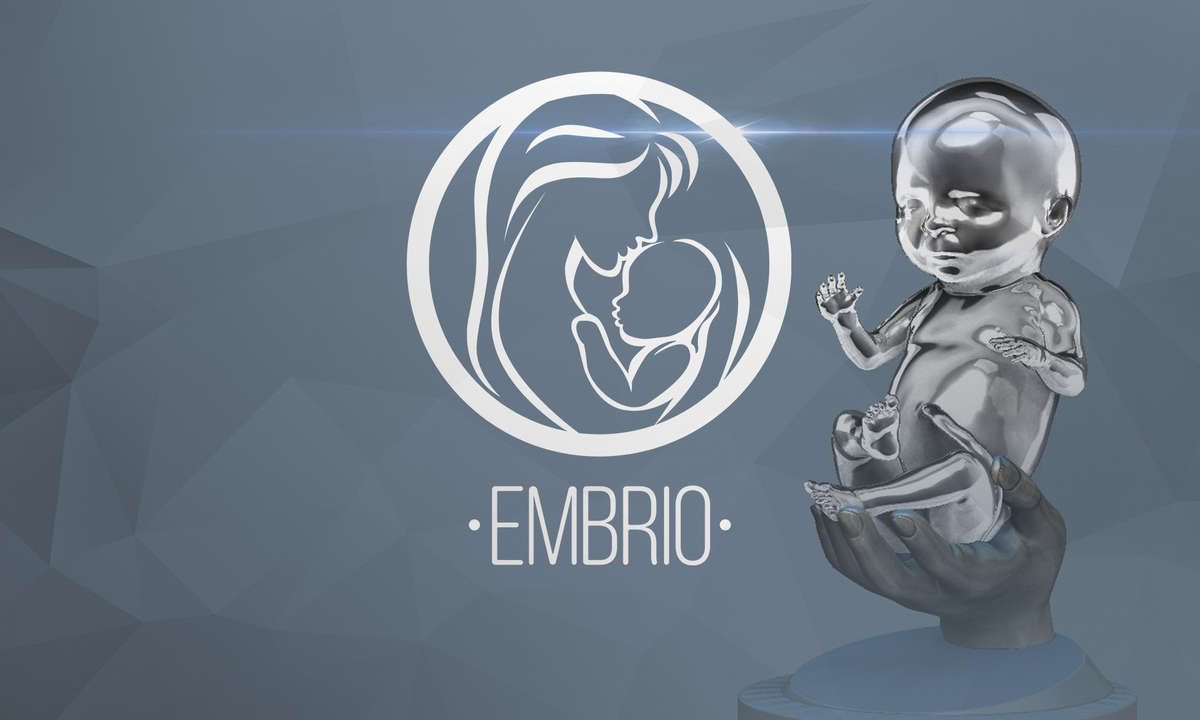 Embrio 3D