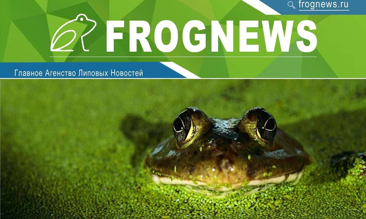 Создание видеостудии шуточных новостей Frognews.ru