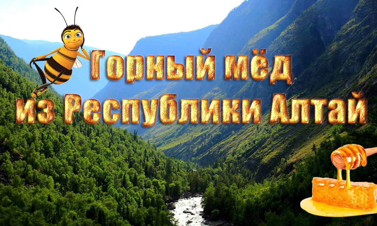 «Горный Мед» из Республики Алтай!