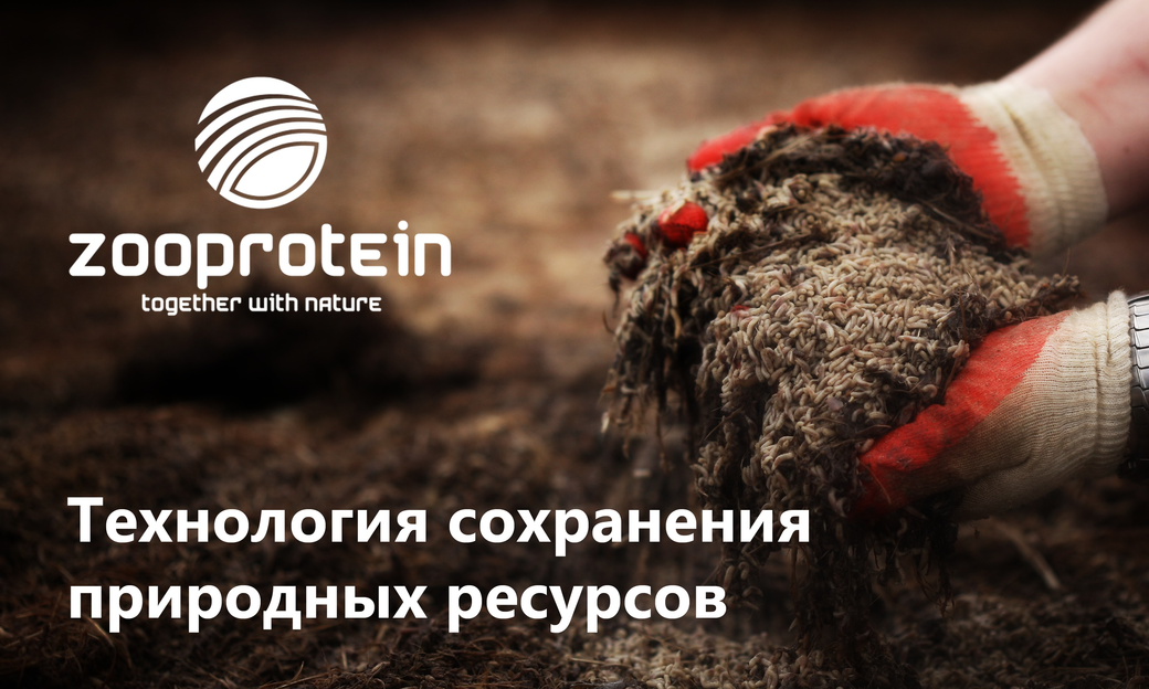 Zooprotein: технология сохранения природных ресурсов