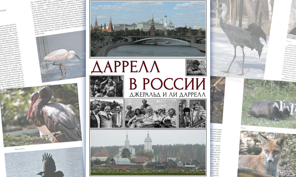 Книга «Даррелл в России»