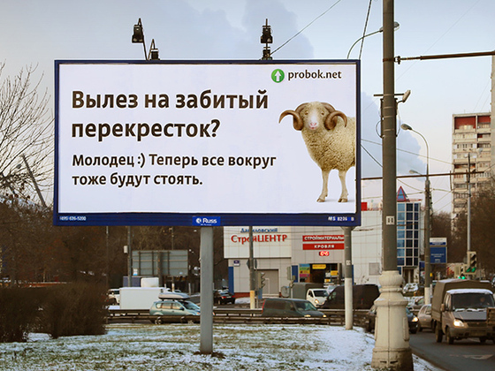 Кампания против "баранов" на дорогах в Краснодаре