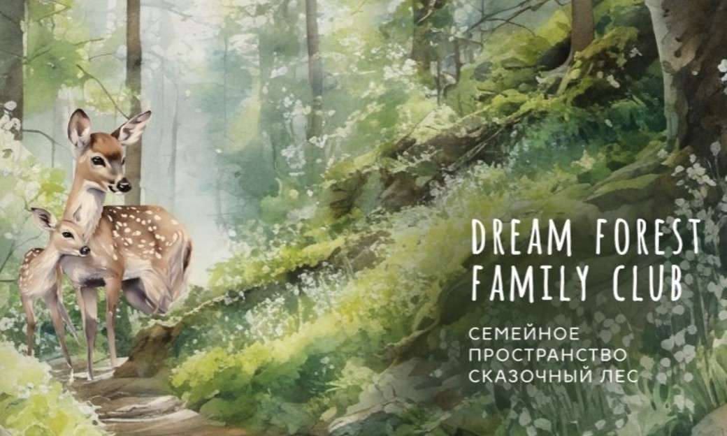 Семейное пространство Dream Forest