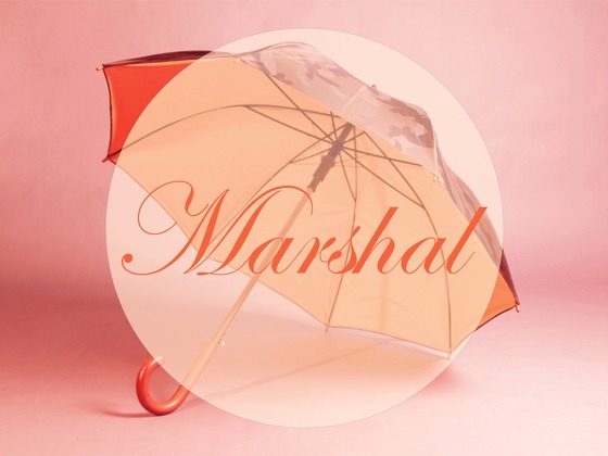 Коллекция зонтов "Marshal"