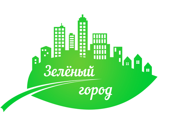 Проект «Зелёный город» по защите окружающей среды
