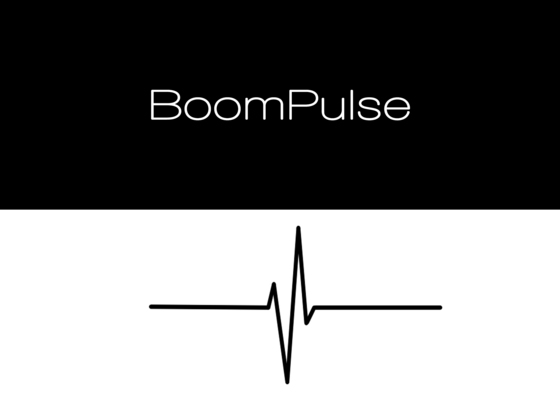 BoomPulse