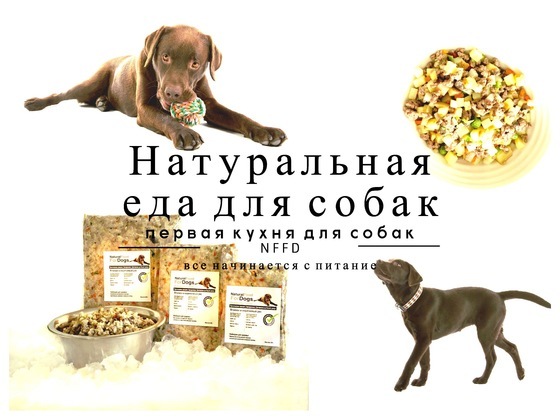Natural Food For Dogs -  натуральная еда для собак