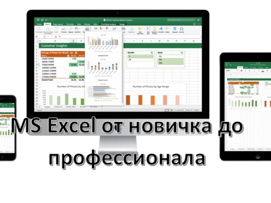 Курс обучения табличному процессору MS Excel 2013/2016