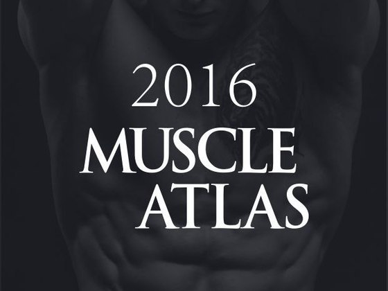Печать арт-календаря "Muscle Atlas"