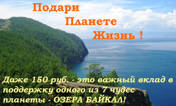 Восстановление лесов острова Ольхон на Байкале