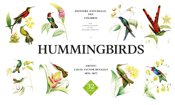 Коллекционный набор открыток «Bevalet Hummingbirds»