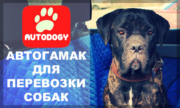 Autodogy - автогамак для перевозки собак в автомобиле